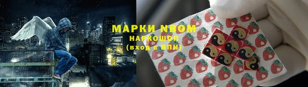 ПСИЛОЦИБИНОВЫЕ ГРИБЫ Вяземский