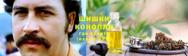 ПСИЛОЦИБИНОВЫЕ ГРИБЫ Вяземский