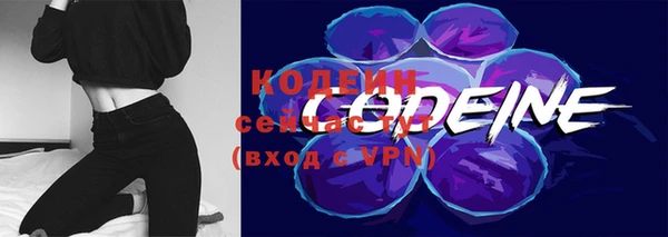 ПСИЛОЦИБИНОВЫЕ ГРИБЫ Вяземский