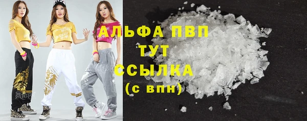 ПСИЛОЦИБИНОВЫЕ ГРИБЫ Вяземский