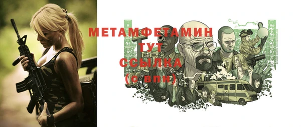 ПСИЛОЦИБИНОВЫЕ ГРИБЫ Вяземский