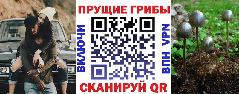 Галлюциногенные грибы мухоморы  Купить  Курильск 